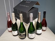 Discovery box 6